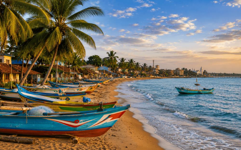 Classique du Sri Lanka